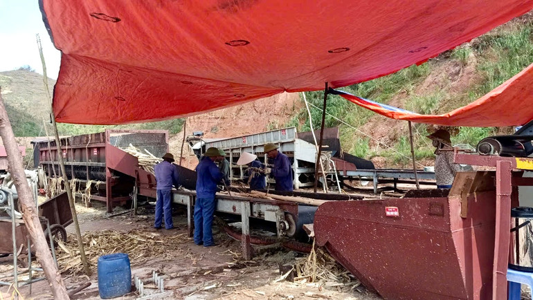 Công ty Cổ phần gỗ Bình Thuận (Quảng Ninh) sản xuất trong điều kiện nhà xưởng bị bão làm tốc mái. (Ảnh: QUỲNH HƯƠNG)