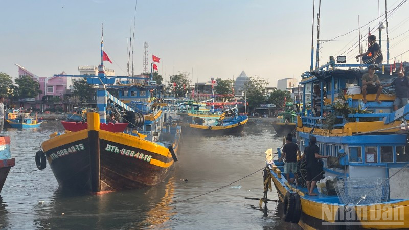 Đến năm 2030, tỉnh sẽ còn khoảng 7.200 tàu cá.