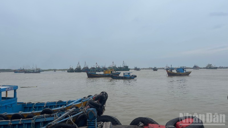 Nhiều tàu cá vào cảng cá La Gi.