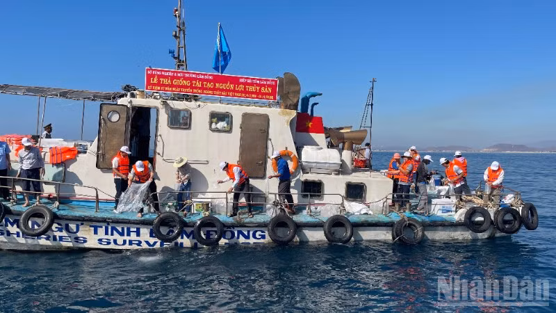 Lãnh đạo Sở Nông nghiệp và Môi trường tỉnh Lâm Đồng thả cá ngoài biển.