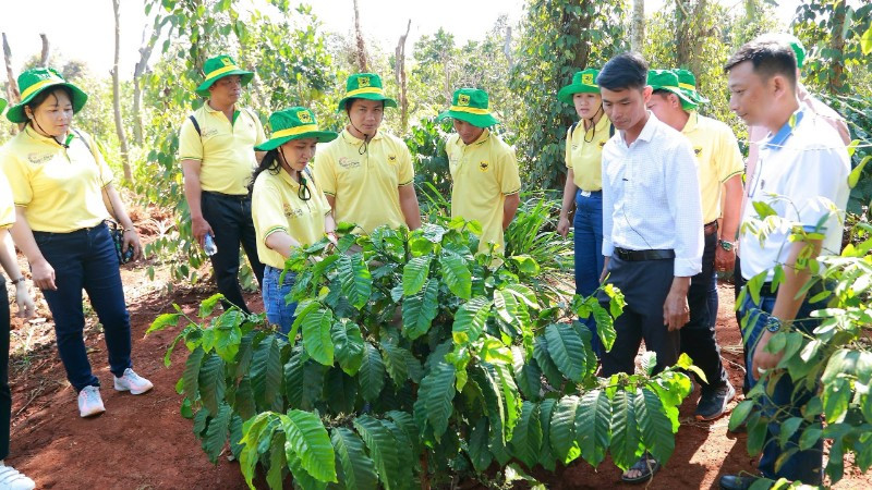 Chương trình canh tác cà-phê thông minh góp phần thực hiện chiến lược xanh hóa và giảm phát thải khí nhà kính của Bình Điền, hướng tới nền nông nghiệp bền vững.