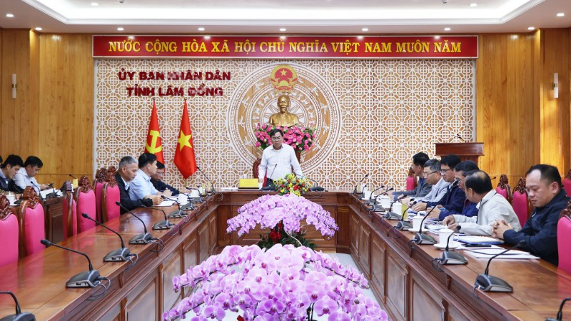 Lãnh đạo tỉnh làm việc với các công ty.