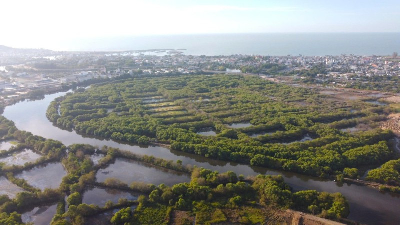 Dự án công viên Hùng Vương.