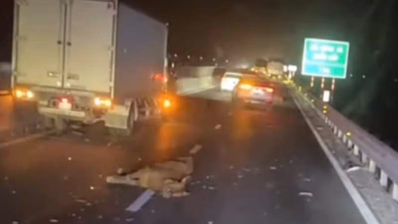 Hiện trường vụ tai nạn.