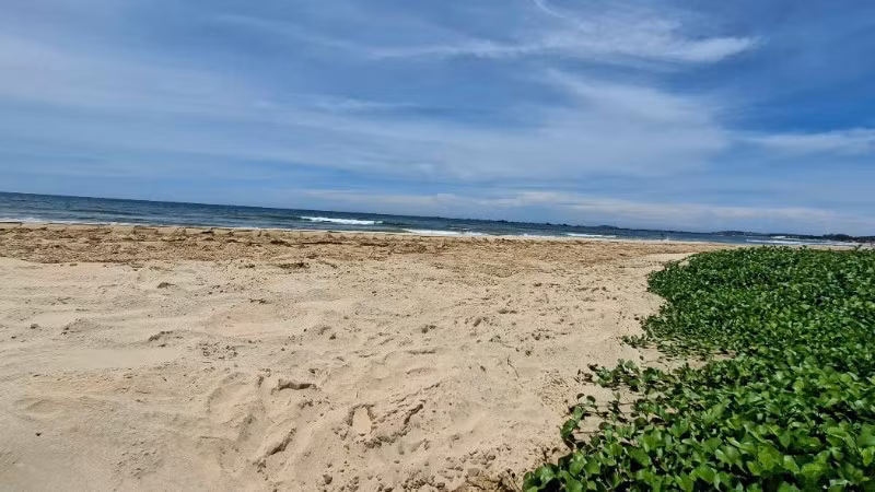 Vị trí nước thải ra biển.