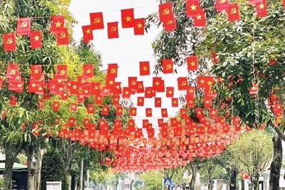 1. Những ngày này, trên khắp các nẻo đường từ thành thị đến vùng cao, biên giới đều rực rỡ cờ hoa.