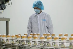 Chế biến sản phẩm từ nông sản tại Công ty cổ phần công nghiệp thực phẩm Thabico Tiền Giang.