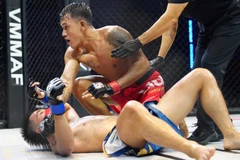 Lion Championship giúp chuyên nghiệp hóa MMA tại Việt Nam.