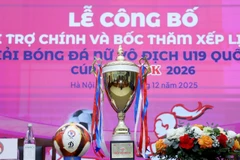 Các giải bóng đá trẻ là nền tảng cho đội tuyển quốc gia.