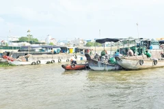 Chợ nổi Cái Răng bắt đầu họp từ 5h đến 9h sáng hằng ngày.