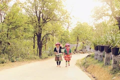 Thiếu nữ người H’Mông trong không gian thanh sạch của Sin Suối Hồ.