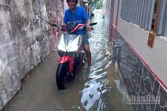 Nước ngập len lỏi vào tận các ngõ hẻm phường Bạc Liêu, tỉnh Cà Mau, gây xáo trộn cuộc sống của người dân.