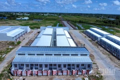 Cà Mau đang thực hiện nhiều giải pháp quyết liệt nhằm đẩy nhanh tiến độ xây dựng nhà ở xã hội cho người lao động.