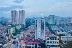 Thị trường thể hiện sự tăng trưởng ở hầu hết các phân khúc qua 6 tháng đầu năm. (Ảnh: HNV)
