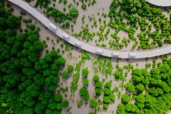 Con đường xuyên qua khu rừng phòng hộ Mũi Cà Mau vừa được tái sinh. (Ảnh NSNA Phương Bằng)