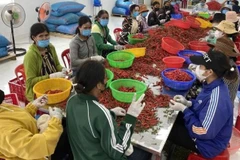 Đối tượng điều tra gồm: Lao động tham gia hoạt động nông, lâm, thuỷ sản; Hộ dân cư tham gia hoạt động nông, lâm, thuỷ sản; Trang trại, doanh nghiệp, hợp tác xã tham gia hoạt động nông, lâm, thuỷ sản; Ủy ban nhân dân xã. (Ảnh: HNV)