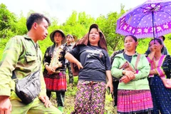Trưởng bản Mùa A Thi (ngoài cùng, bên trái) trao đổi với người dân trong bản. (Ảnh VŨ LỢI)
