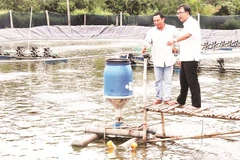 Đảng viên hỗ trợ đồng bào dân tộc thiểu số kỹ thuật nuôi tôm công nghệ cao ở Sóc Trăng. (Ảnh NGUYỄN PHONG)