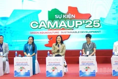 Các chuyên gia đóng góp ý kiến tại Diễn đàn khởi nghiệp ở Cà Mau.