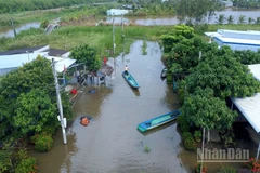 Một góc con đường gần 2km tại Kênh Tư ngập sâu, người dân phải dùng xuồng di chuyển trên mặt đường. 