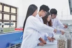 Nhóm sinh viên chủ nhân dự án Chilicap trong phòng thí nghiệm tại trường (Ảnh chụp từ video của Trường đại học Yersin Đà Lạt)