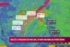 [Video] Bão số 12 Fengshen gây mưa lớn, lũ vượt báo động ba ở miền Trung