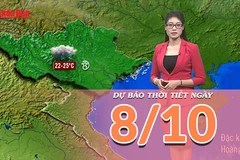 [Video] Dự báo thời tiết ngày 8/10/2025: Mưa ở Bắc Bộ giảm nhanh 