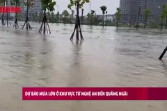 [Video] Dự báo mưa lớn ở khu vực từ Nghệ An đến Quảng Ngãi 
