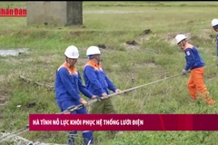 [Video] Sập cầu trên đường tránh ở Tuyên Quang