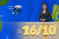 [Video] Dự báo thời tiết đêm nay và ngày mai 16/10/2025: Bắc Bộ giảm mưa