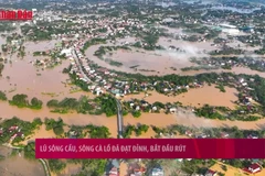 [Video] Lũ sông Cầu, sông Cà Lồ đã đạt đỉnh, bắt đầu rút 