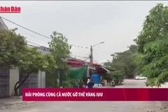 [Video] Hải Phòng cùng cả nước gỡ thẻ vàng IUU