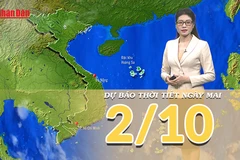 [Video] Dự báo thời tiết đêm nay và ngày mai 2/10/2025: Bắc Bộ thời tiết chuyển tốt