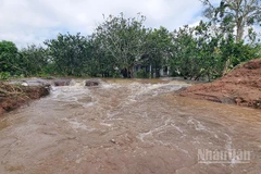 Đoạn sạt lở đê bao tối 23/10 đã làm ảnh hưởng đến 15ha cây ăn trái và 6 hộ dân sinh sống nơi đây. 