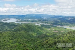 Thực tiễn tại Lâm Đồng cho thấy, chính sách chi trả dịch vụ môi trường rừng là giải pháp kinh tế đúng hướng, góp phần hài hòa lợi ích giữa Nhà nước, doanh nghiệp và người dân trong bảo vệ và phát triển rừng.