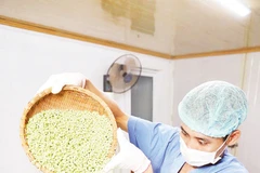 Dây chuyền sản xuất tại HTX Dịch vụ nông nghiệp sông Hồng.