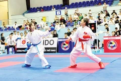 Các võ sĩ tranh tài tại Giải karate thiếu niên, nhi đồng tỉnh Đắk Lắk 2025. Ảnh: Đinh Đoài