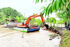 Chính quyền và nhân dân khắc phục sự cố vỡ một đoạn cồn Sơn của thành phố Cần Thơ.