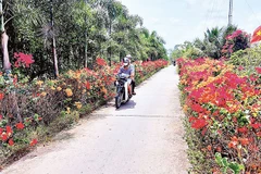 Mô hình "Chi bộ 4 tốt" lan tỏa trong mọi lĩnh vực, tạo nên sức sống mới ở vùng quê Trần Văn Thời.