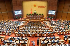 Toàn cảnh Kỳ họp thứ 10, Quốc hội khoá XV.