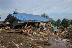 Cảnh tàn phá sau trận lở đất do bão tại tỉnh Batangas, Philippines, ngày 25/10/2024. Ảnh minh họa: THX/TTXVN