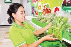 Hợp tác xã Sản xuất và tiêu thụ nông sản sạch Viên Sơn cung cấp nông sản cho nhiều chuỗi cửa hàng thực phẩm sạch tại Hà Nội. (Ảnh KIỀU TÂM)