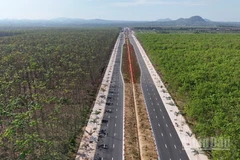 Đường Vành đai 1 Long Khánh xuyên qua rừng cao-su.