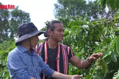 [Video] Đưa cà phê Việt vươn tầm thế giới