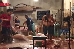 [Video] Hơn 80% cơ sở giết mổ nhỏ lẻ không được kiểm soát