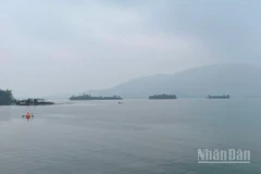 Dự báo khu vực Bắc Bộ sáng sớm có sương mù và sương mù nhẹ. (Ảnh minh họa: Đ.T)