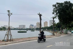 Dự báo khu vực Hà Nội trời rét đậm, có nơi rét hại.