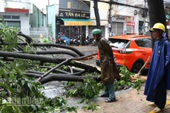Một trận mưa lớn kèm giông lốc gây thiệt hại tại phường Trấn Biên vào tháng 7/2025.