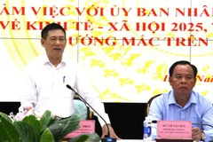 Phó Thủ tướng Chính phủ Hồ Đức Phớc phát biểu tại buổi làm việc.