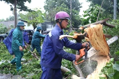 Lực lượng chức năng tỉnh Đồng Nai tập trung khắc phục hậu quả do trận mưa lớn kèm gió giật mạnh gây ra.